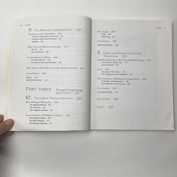 The History of the Muslim World to 1405 by Vernon O. Egger - Picture 6 of 16